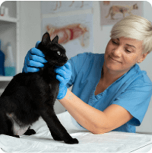 Csapattag Horváth Daniella