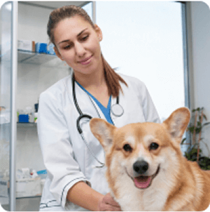 Csapattag Tóth Orsolya