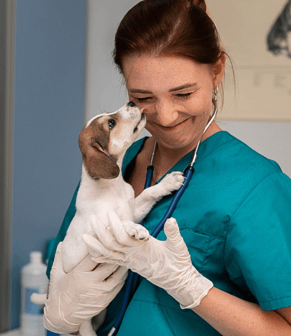 Bemutatkozó Katona Ramóna